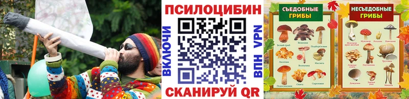 Галлюциногенные грибы Psilocybine cubensis  купить  сайты  Трубчевск 